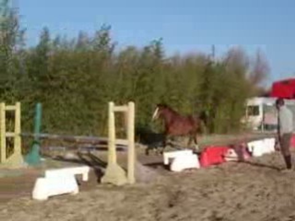 rika2