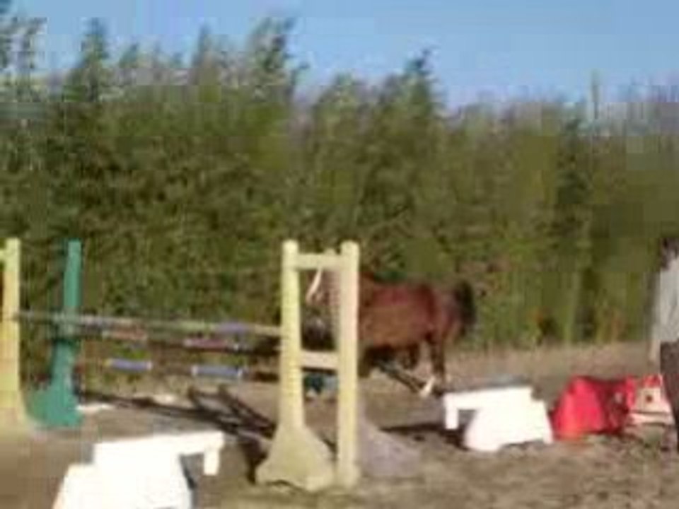 rika4