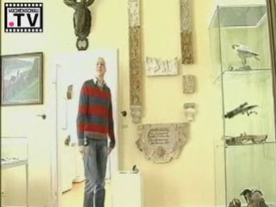 Hessenreporter.de - Das Monte Carlo in Hessen