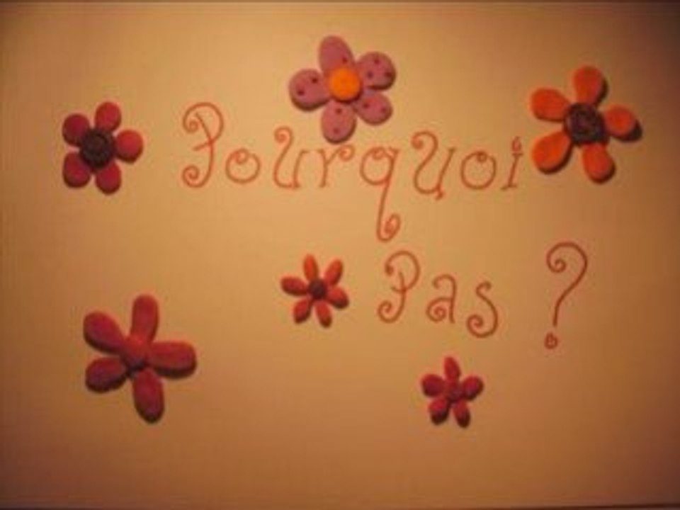 Pourquoi pas ? - 2005/06