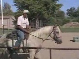 Palomino gelding Missouri Foxtrotter 4 sale round pen work