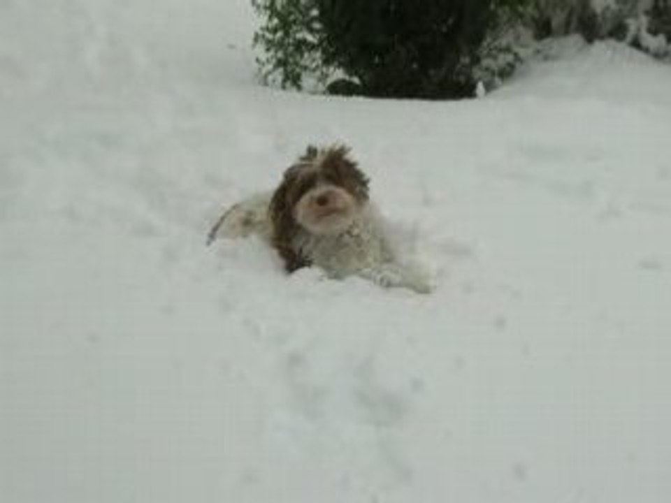 Vivi ADORE la neige!