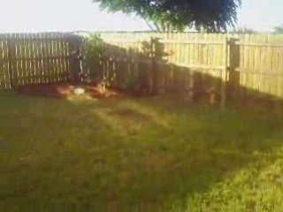 Safe Harbor – San Antonio Investment Deal