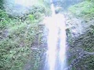 PJ & KK Ont la folie des grandeurs