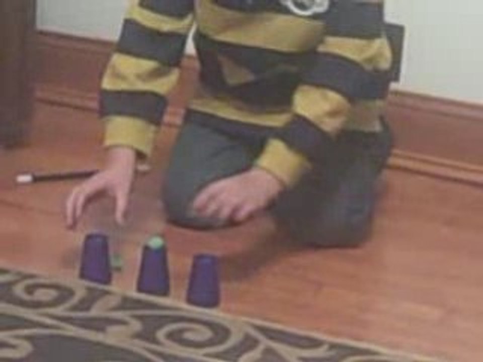 The magic Show