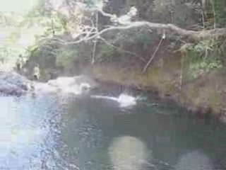 Costa Rica paradise: waterfall in the mountains