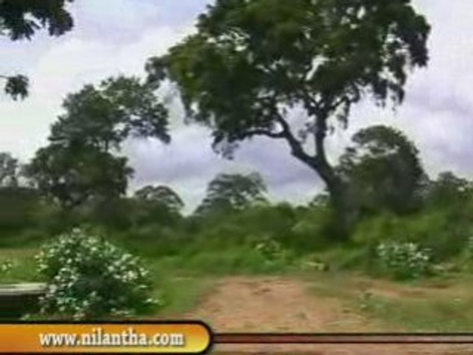 sri lanka yala National Park