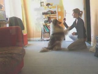 Janvier08 2008 obr dans la maison