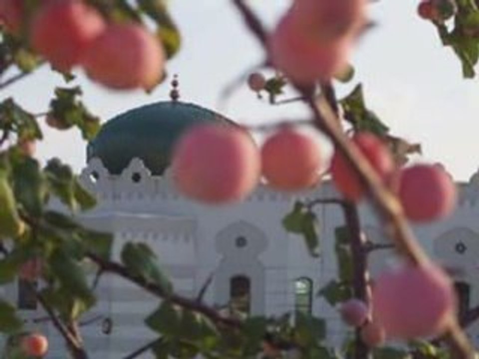 Heart of a Muslim - Nasheed by Zain Bhikha