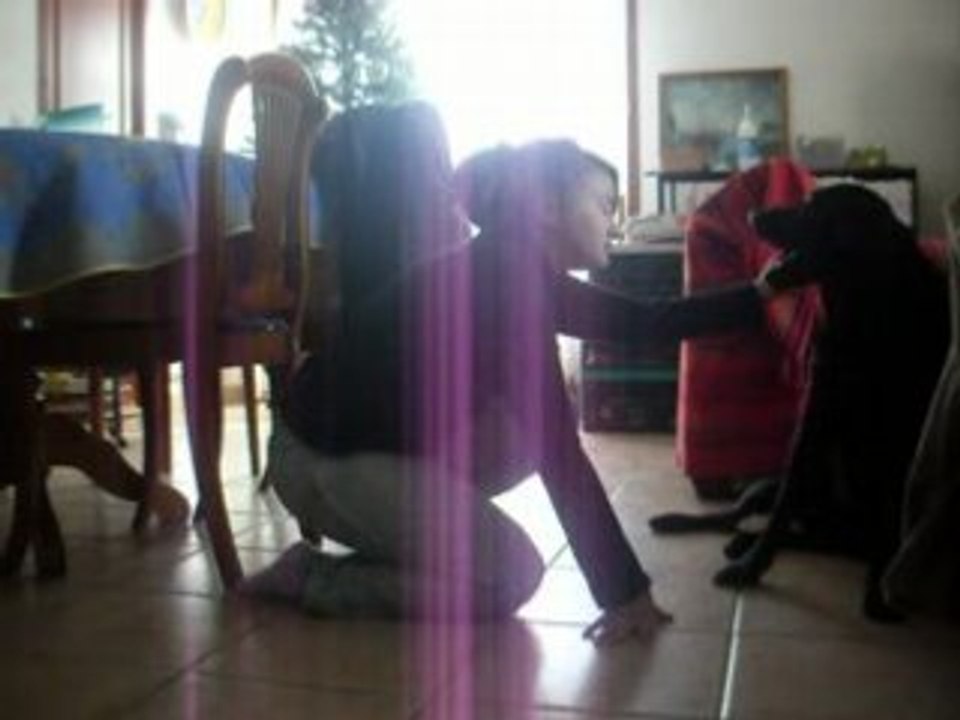 Mon amour de chien & moi