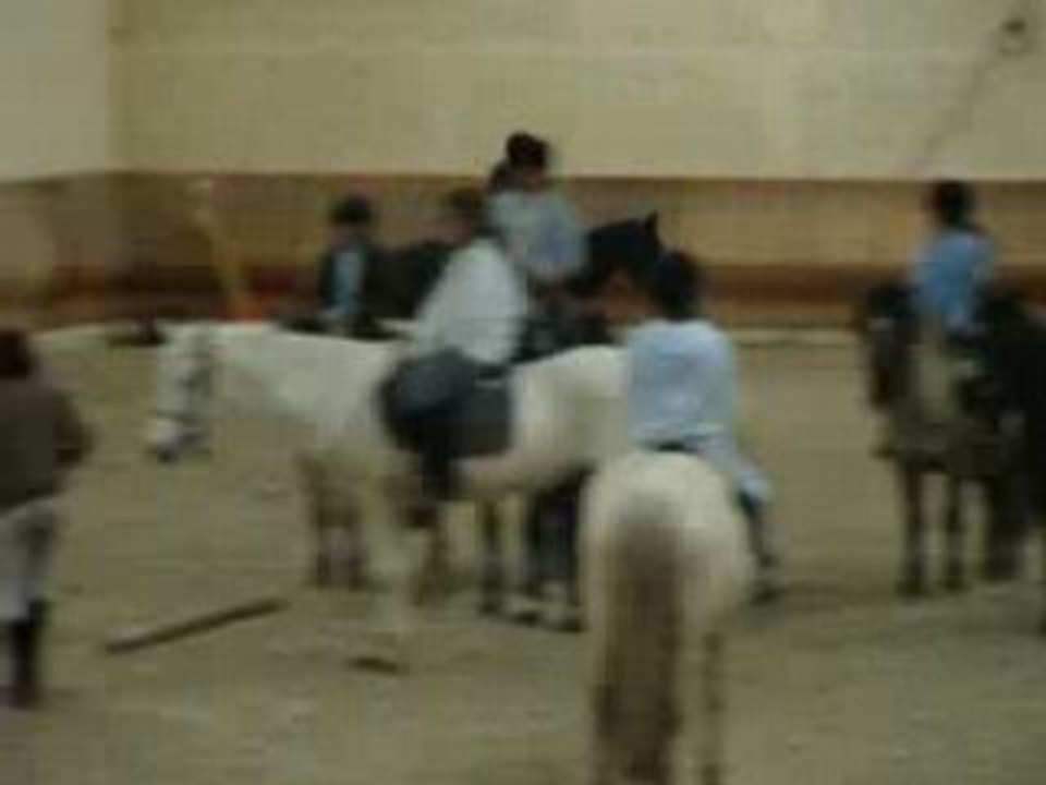 Samedi 3 Janvier 2009