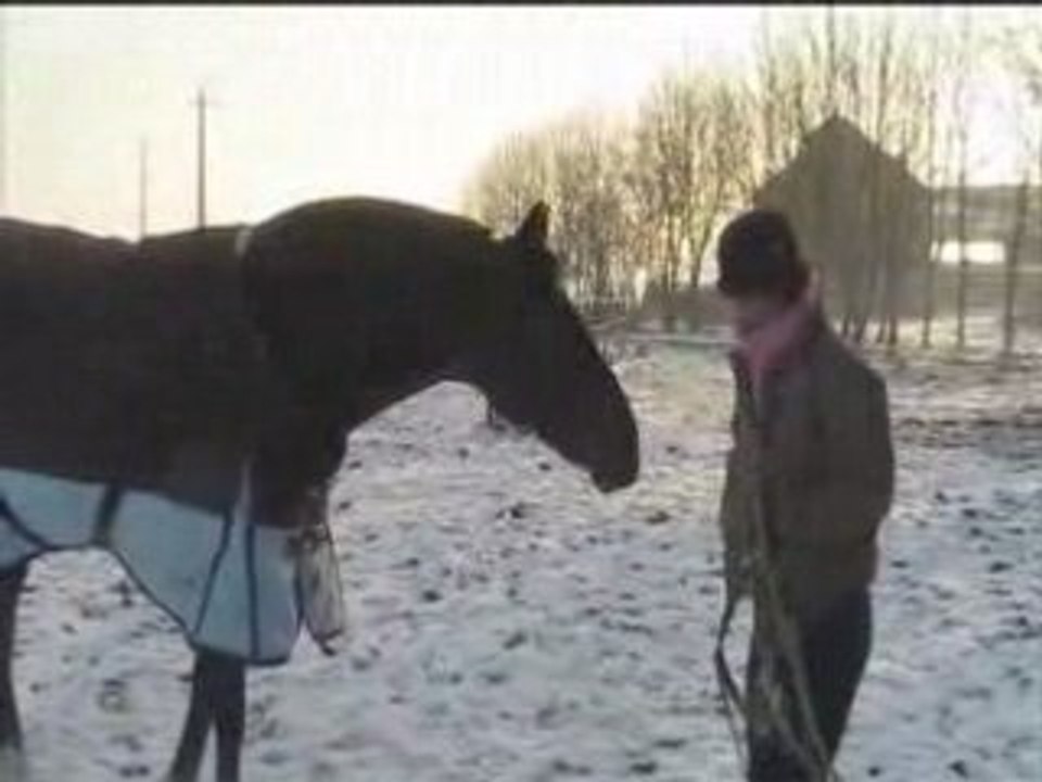 Journee du 09/01/2009