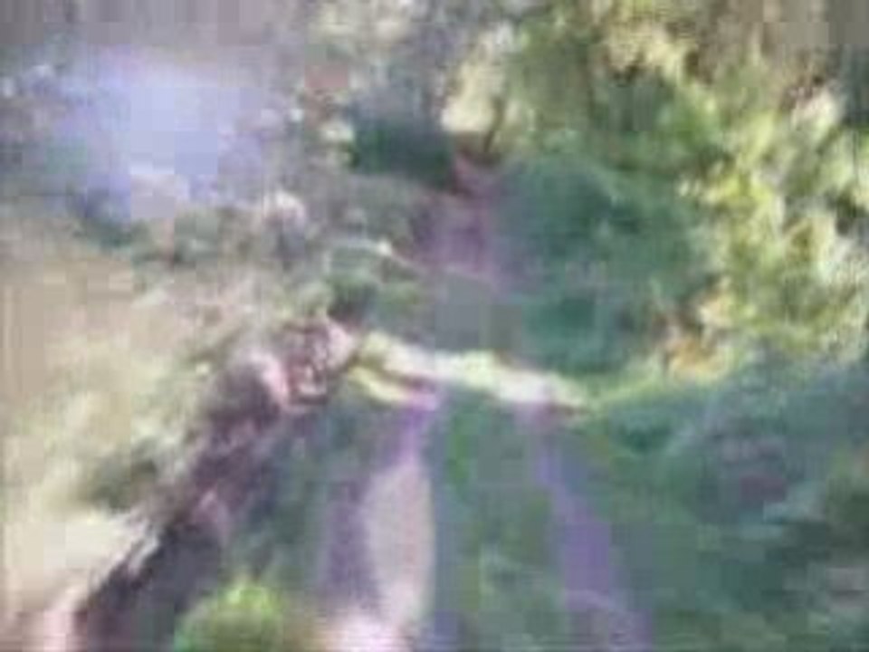 Quad sur sentier, 2eme video, Marches, SMC 250