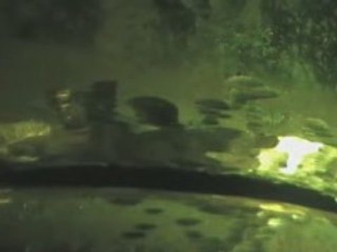 Learn TIG welding from the welders lens TIG welding videos