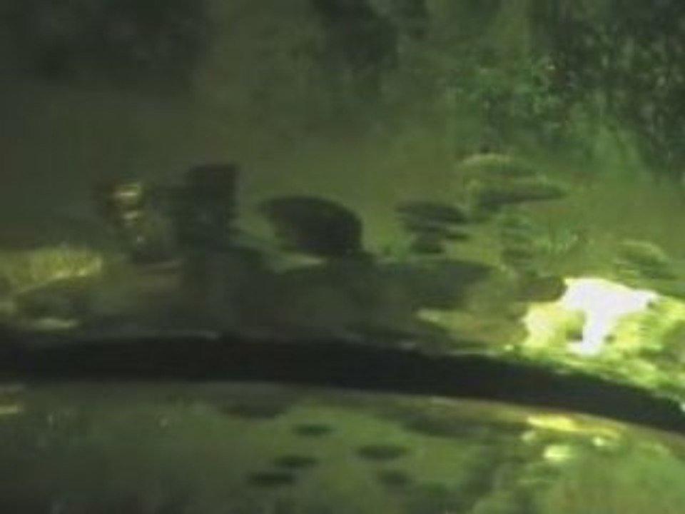 Learn TIG welding from the welders lens TIG welding videos