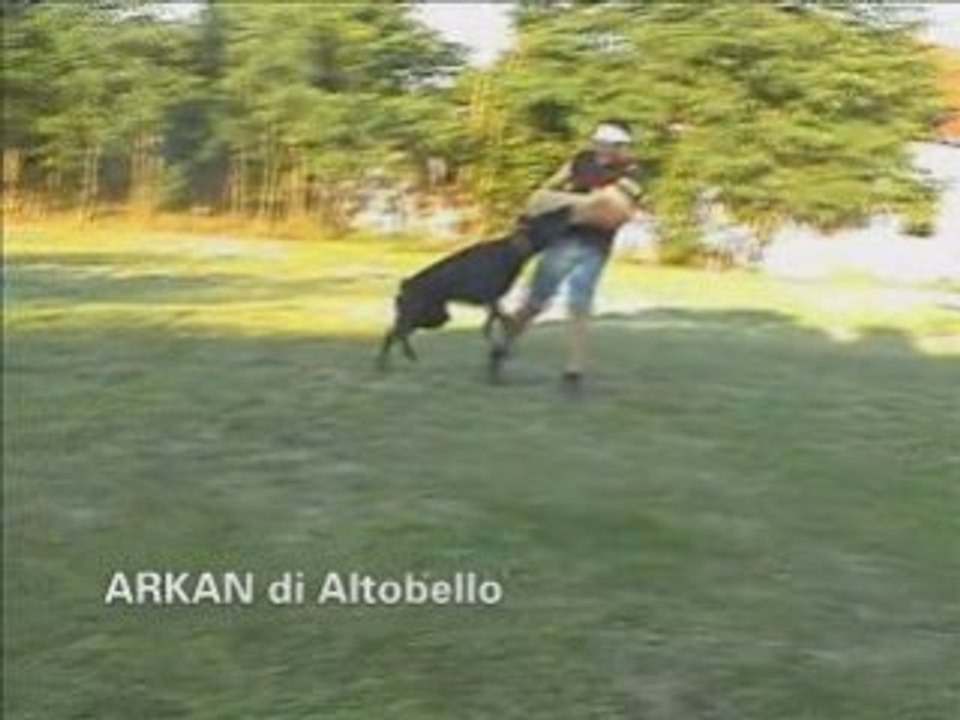 Arkan di altobello