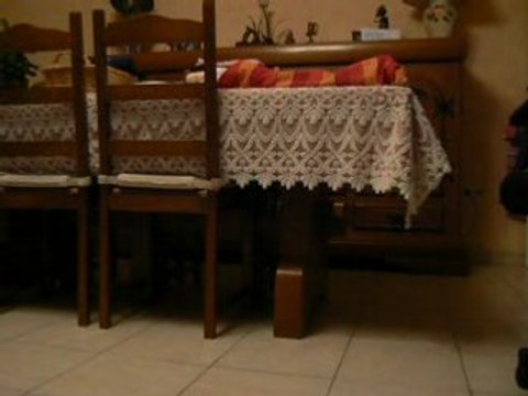 Premiers pas...avec mon Tomy à roulettes!