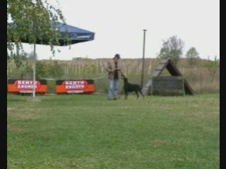 Wild Cherry di Altobello ZTP test