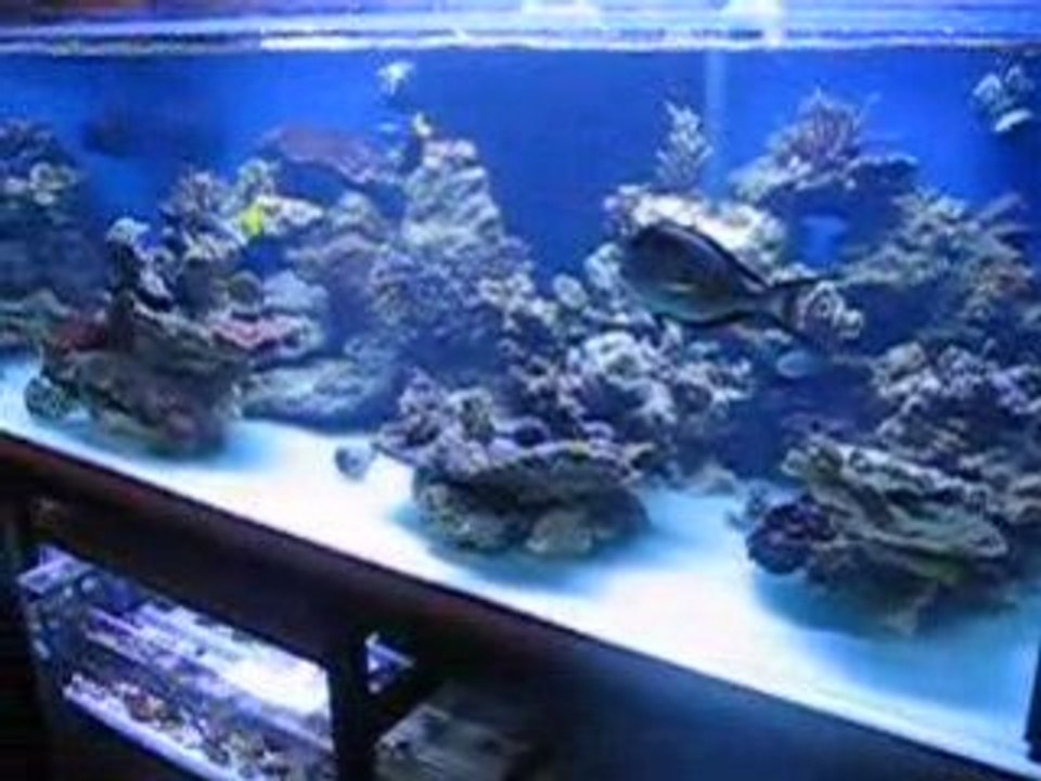 Nouveau Bac 680 litres