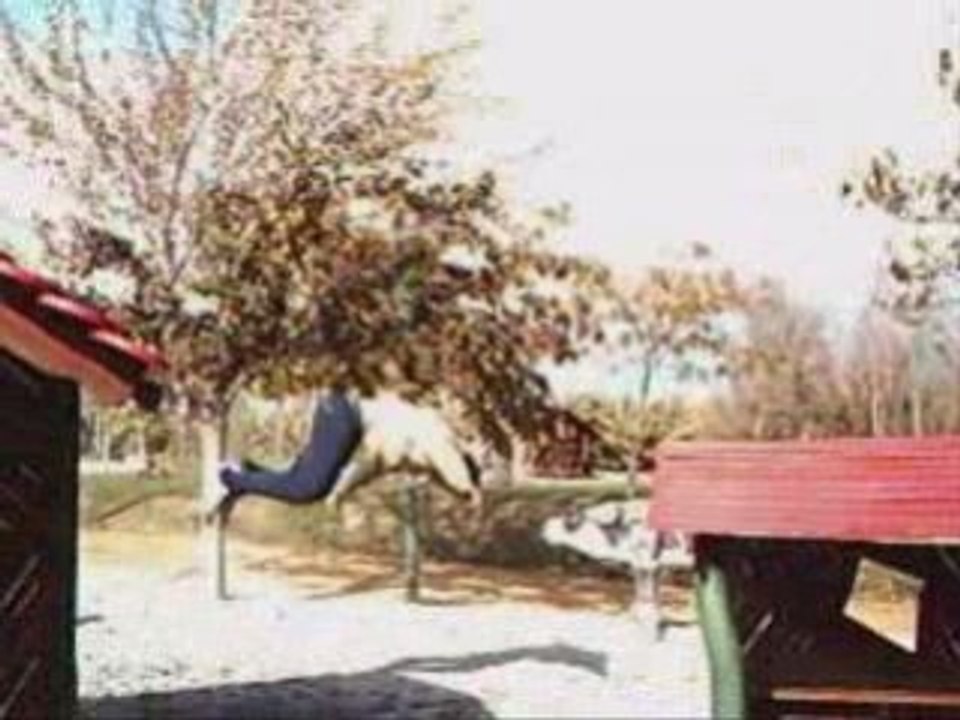 Runing Xtrem 1 sesion