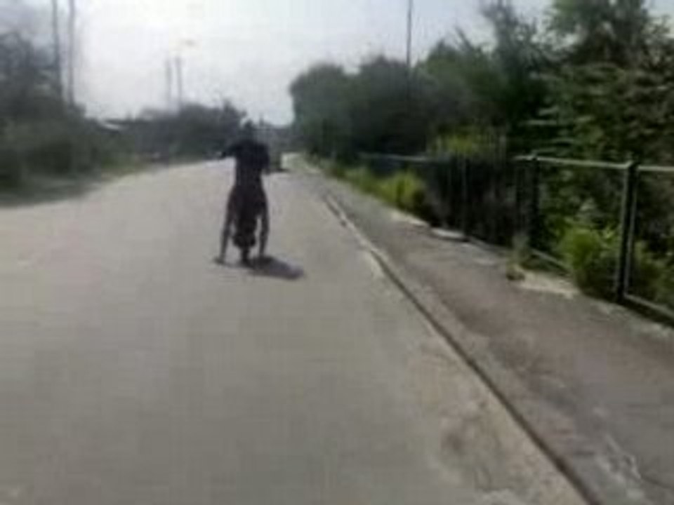 Koza