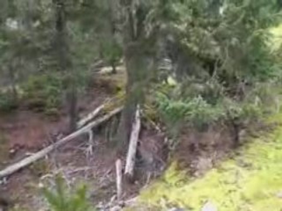 {Whistler Real Estate} #302 Whistler Village Inn & Suites