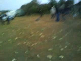 ecofonik 1 viv lé moustik