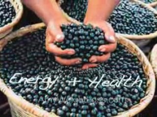 Acai berr pulp - My weight loss success video!