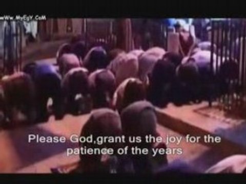 Free Palestine- Tamer Hosny