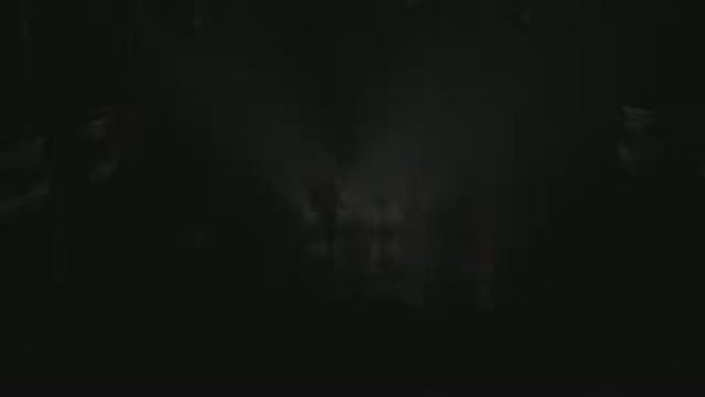 Lolo sy ny Tariny à La Cigale - Lemizo