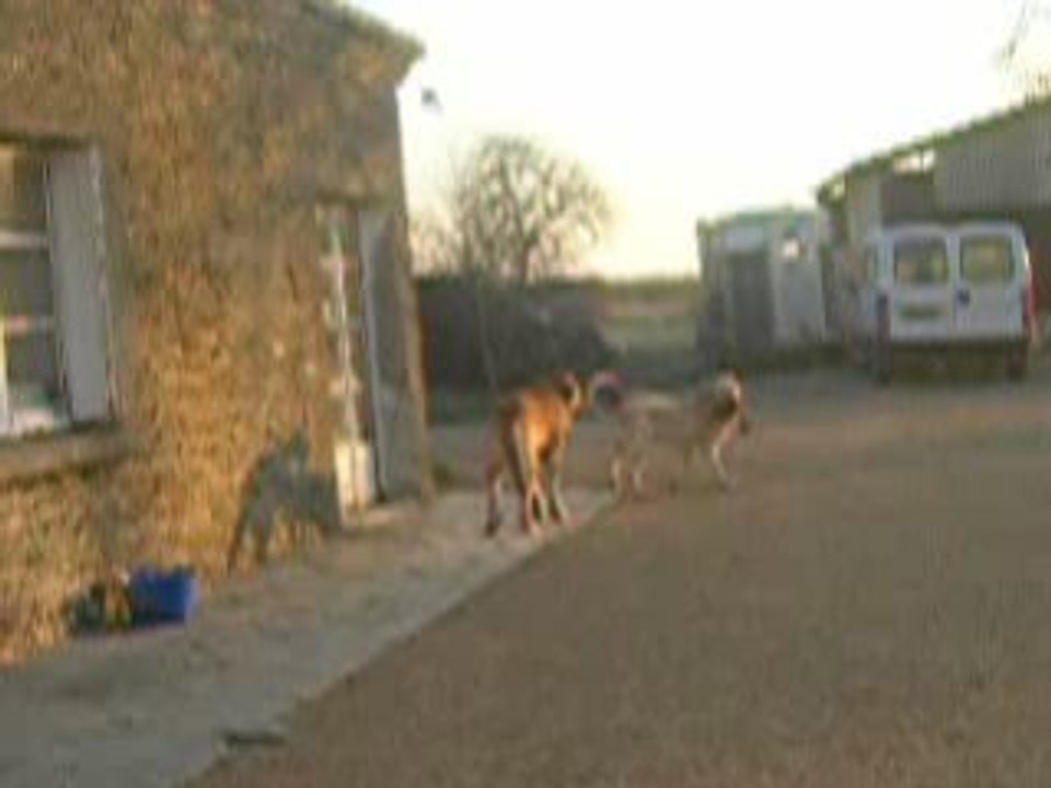 kro et Camé janvier 2009