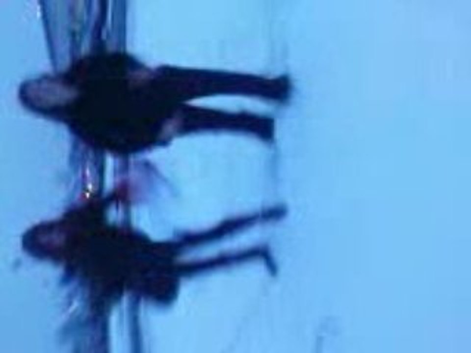 aie le delire sa fait mal