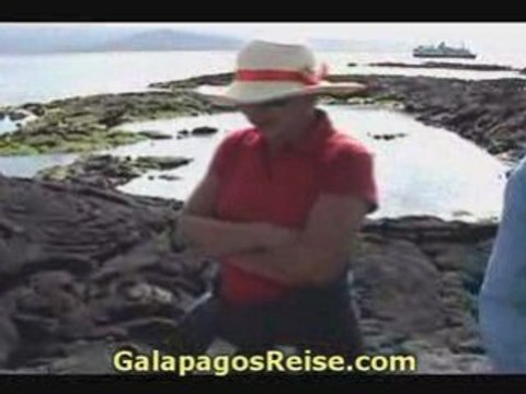Tourists Galapagos Tours and Cruises