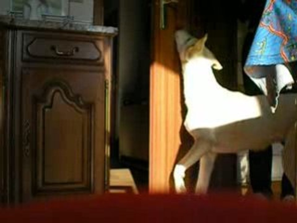 Ferme la porte.avi