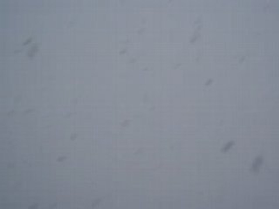 Forte chute de neige Aix en Provence