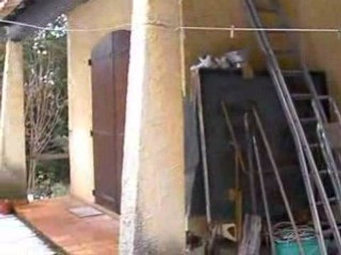 Homo sapiens sapiens