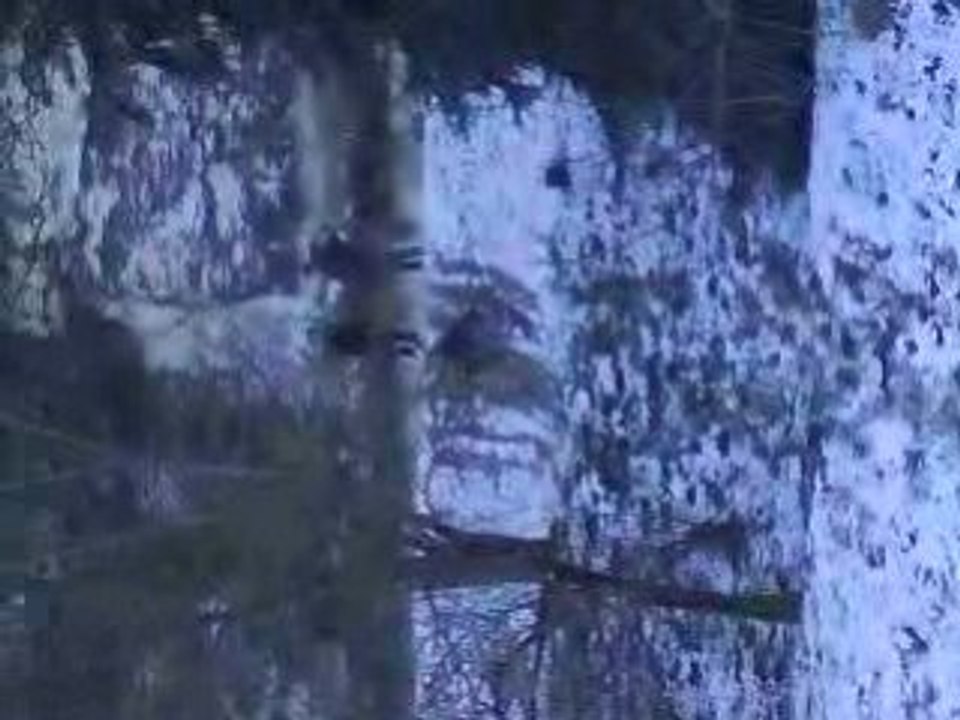 moi
