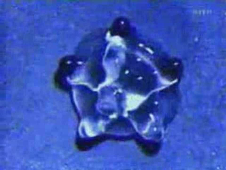 La forme de l'eau