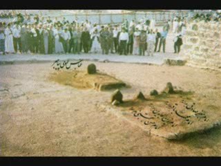 tez gidelim medineye