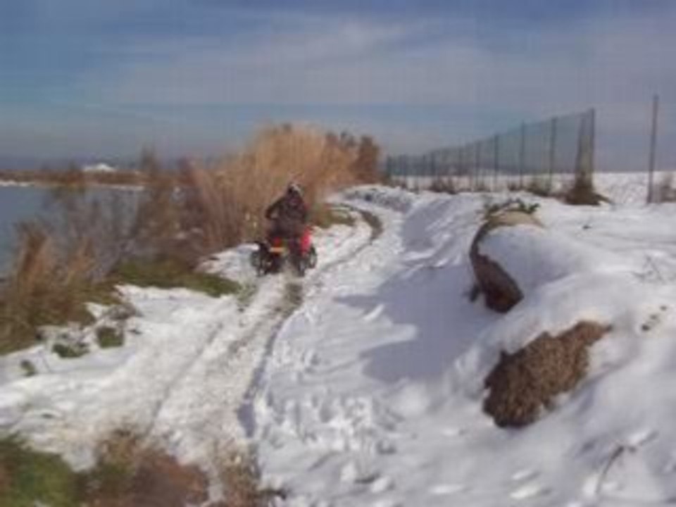 Quad100109 016