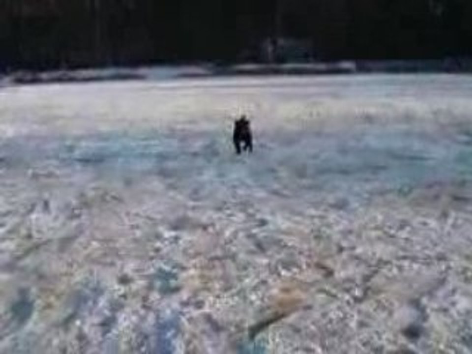 An'tai foret hiver3