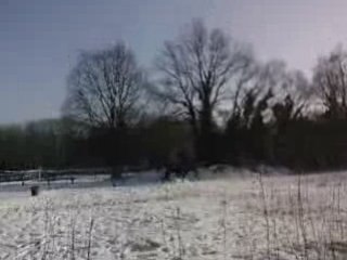 Maestro et Lyxos au paddock