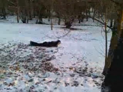 KANTiiN TKT EN MODE LUGE PTDR