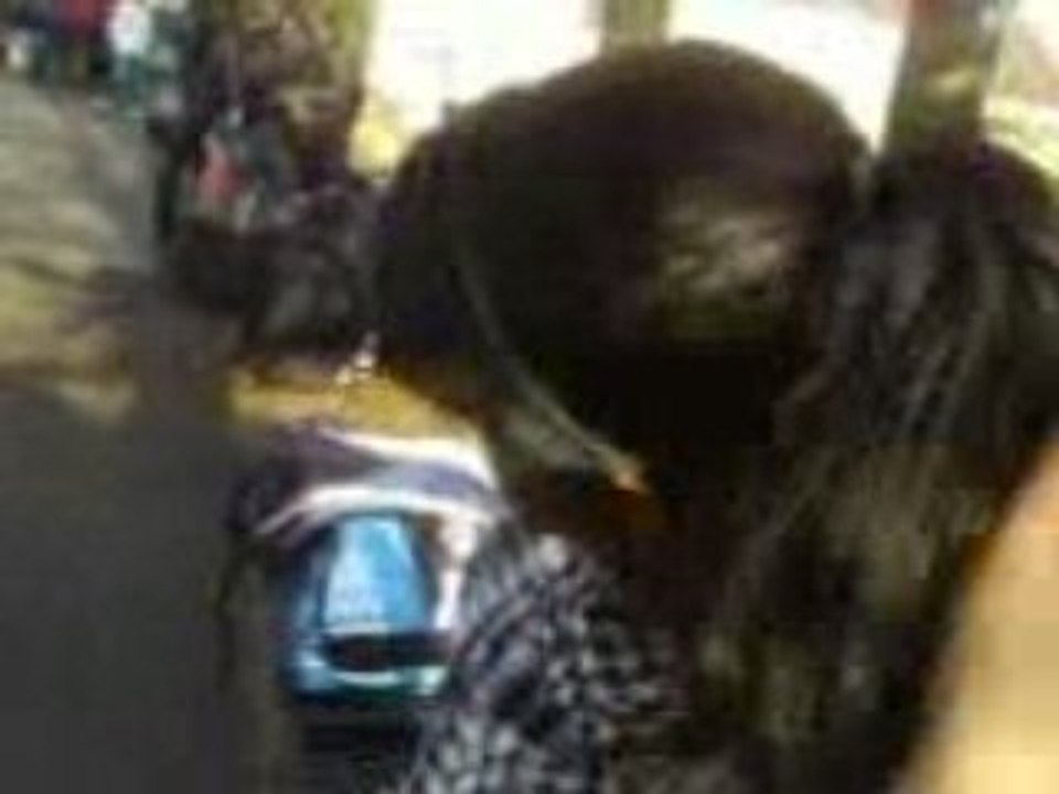 Le collège l*s N**up*a**s  est une grosse merde Mdrr