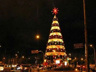 Árvore de Natal 2008 - Parque do Ibirapuera