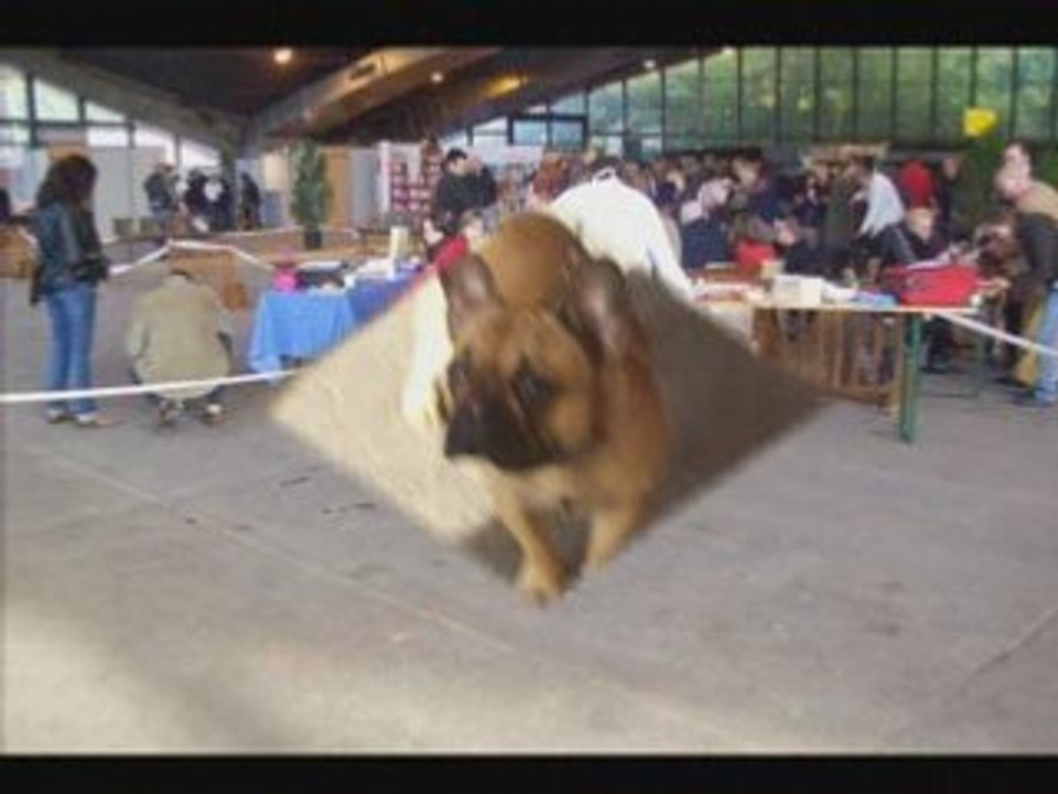 Vidéo expo compiegne et Cambrai