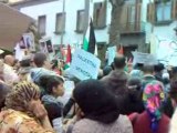 Manifestación solidaridad con Gaza en Las Palmas