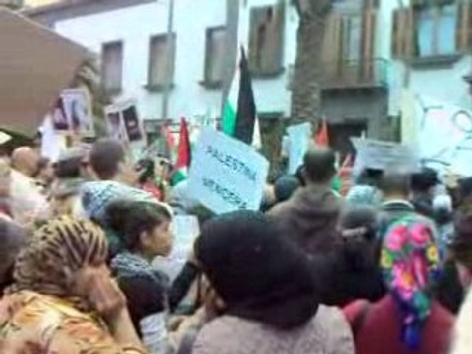 Manifestación solidaridad con Gaza en Las Palmas