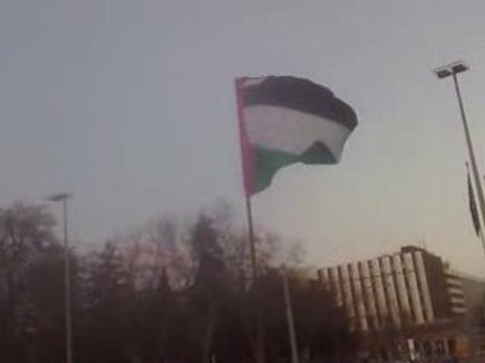 Drapeau_palestine