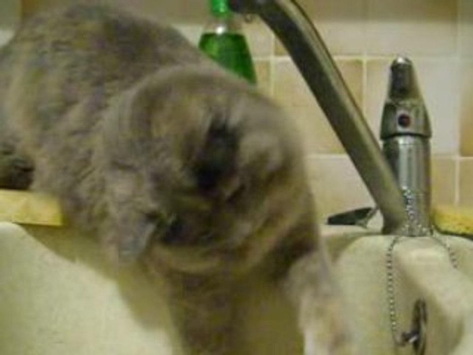 Le supplice de la goutte